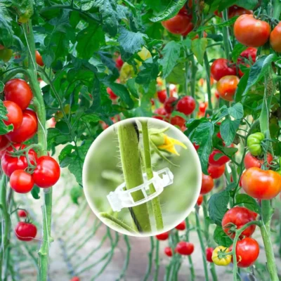 50-100Pcs-Tomato-Clips-Plant-Clips-Vines-Plastic-Trellis-Clips-Support-Clips-for-Climbing-Plants-Cucumbers-4